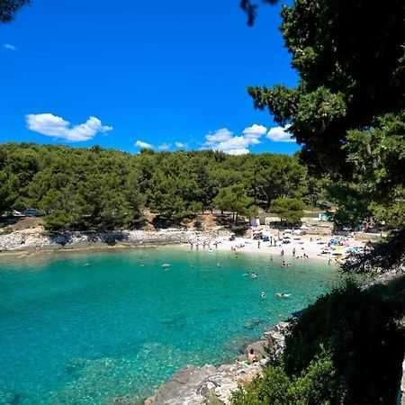 Apartment Zorika Near The Beach Πούλα Εξωτερικό φωτογραφία