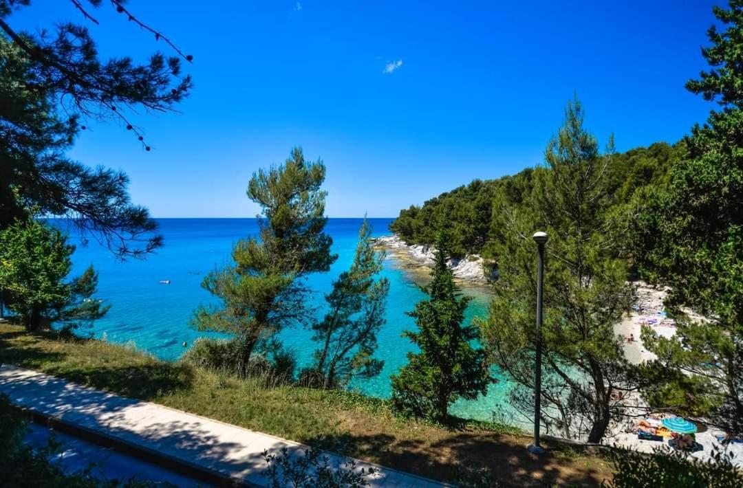 Apartment Zorika Near The Beach Πούλα Εξωτερικό φωτογραφία
